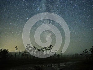 Milky way Night sky stars observing over swamp photo