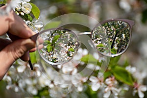 Myopia glasses in hand, flowers bloom in focus