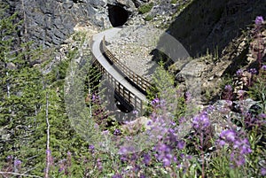 Myra Canyon trestles