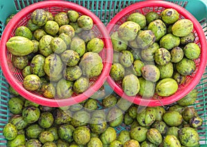 Myrabolan Wood (Terminalia bellirica) herbs in Thailand market