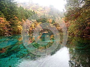 Myriad of colours at Jiuzhaigou during autumn