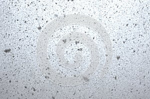 Myriads of snowflakes photo