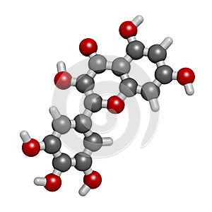 Myricetin flavonoid molecule. 3D rendering. Atoms are represented as spheres with conventional color coding: hydrogen white,