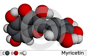 Myricetin molecule. It is natural product, flavonoid. Molecular model. 3D rendering