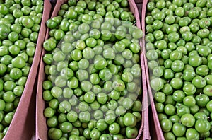 Myrobalan or cherry plum for sale at city market. Baku. Azerbai