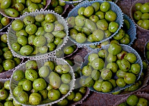 Myrobalan Wood, Chebulic Myrobalans in market