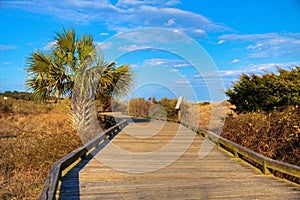 Myrtle Beach Boardwalk photo