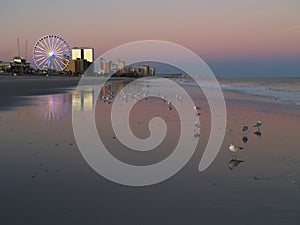 Myrtle Beach Sunset photo