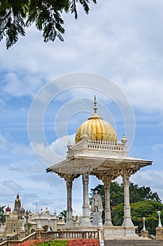 Mysore King photo
