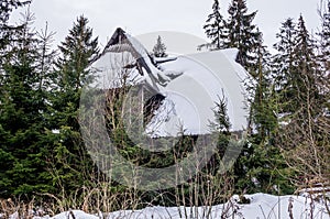 Mysterious abandoned wooden house in the forest