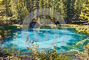 Blue geyser lake surrounded by forests in the Altai Mountain, Russia photo