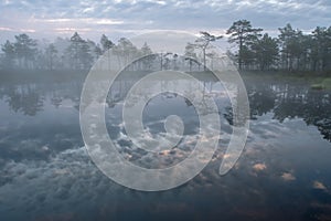 Mysterious bog and foggy sunrise width fabulous colored reflection of the  rising sun on the bog lake  - summer morning in Estonia