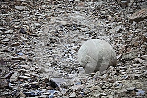 Mysterious boulders and pebbles of Champ Island