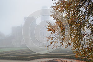 Mysterious castle in fog with autumn tree on the front