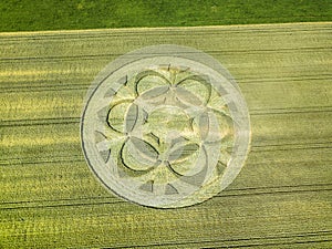 Mysterious crop circle found in Buren an der Aare, Switzerland