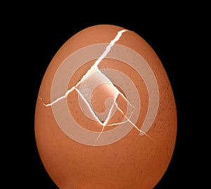 Mysterious egg cracking with light photo