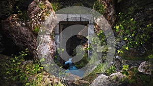 Mysterious entrance to the cave between the stones. Animation of a calm forest
