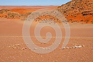 The mysterious fairy circles in the Namib Desert