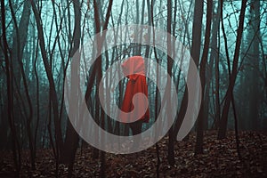 Mysterious figure in dead forest