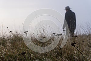 A mysterious figure standing out of focus with a shallow depth of field in the background. With a close up of plants, misty