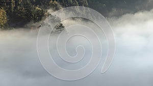 Mysterious fog rising over a valley with a colorful autumn forest at sunrise