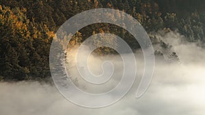 Mysterious fog rising over a valley with a colorful autumn forest at sunrise