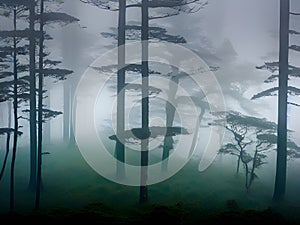 mysterious forest with dark fog, AI Generated