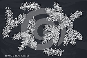 Mysterious forest hand drawn vector illustrations collection. Chalk spruce branch.