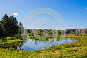 Mysterious forest and lake in field of Russia