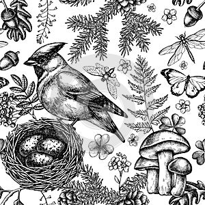 Mysterious forest seamless pattern background design. Engraved style. Hand drawn waxwing, nest, spruce branch, pine