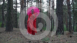 Mysterious girl in a red kimono with an umbrella and a fan walks in the coniferous forest, slow motion