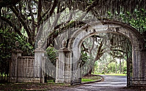 Mysterious Grand Entrance photo