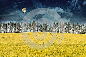 Mysterious Landscape â€“ Field, Moon and Night Sky