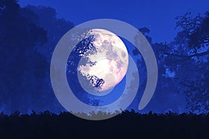 Tajomný fantázia rozprávka les v noci v mesiac v splne 