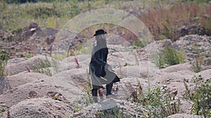 A mysterious man in a black raincoat and a hat slowly walks through the desert deserted area under the scorching sun.