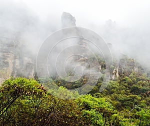 Niebla a montana 