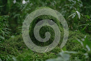 Mysterious moss-covered creature in the forest
