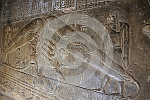 Mysterious murals on the walls of the Temple of Dendera Hathor , near the city of Ken. Electric lamps in the image photo