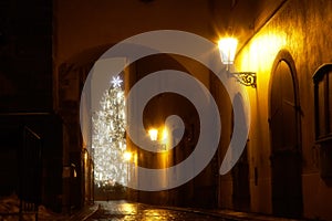 Mysterious narrow alley with christmas tree