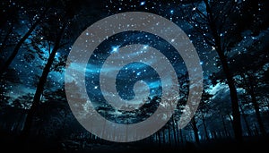 Mysterious night sky illuminates tranquil forest with glowing star trail generated by AI