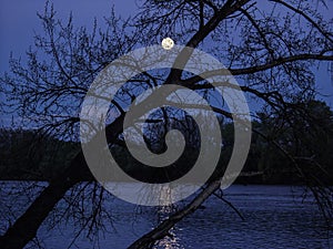 A mysterious night view on the river with a full moon and a moon
