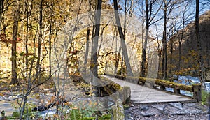 Mysterious Oirase Stream flowing through the autumn forest in To