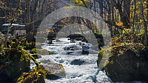 Mysterious Oirase Stream flowing through the autumn forest in To