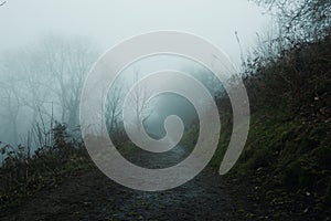 A mysterious path leading into the distance on a spooky, eerie foggy day in the countryside