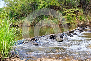 Mysterious rainforest river.