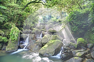 A mysterious ravine of lush forest and refreshing cascades with sunlight shining through lavish greenery