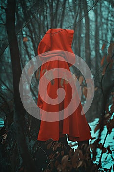 Mysterious red hooded person