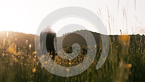 A mysterious semi transparent man standing vanishing in a field of flowers on a summer evening. Backlighted by the sun