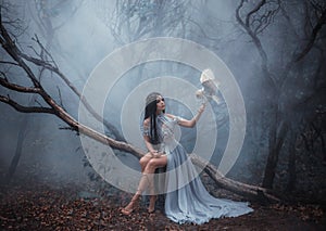 Mysterious sorceress with a bird photo