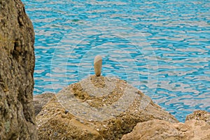 Mysterious stone stands still in front of Black Sea at Cape Meganom, the east coast of the peninsula of Crimea.